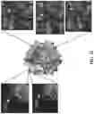 Fig. 53 - CAS12A SYSTEMS, METHODS, AND COMPOSITIONS FOR TARGETED RNA BASE EDITING