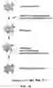 Fig. 64 - CAS12A SYSTEMS, METHODS, AND COMPOSITIONS FOR TARGETED RNA BASE EDITING
