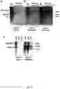 Fig. 02 - METHODS OF DETECTING LONG RANGE CHROMOSOMAL INTERACTIONS