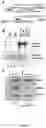 Fig. 05 - METHODS OF DETECTING LONG RANGE CHROMOSOMAL INTERACTIONS