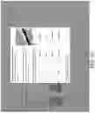 Fig. 22 - MOBILE TICKETING