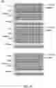 Fig. 09 - Semiconductor device having multiple electrostatic discharge (ESD) paths