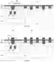 Fig. 07 - Semiconductor device having void in bit line contact plug