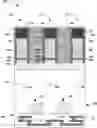 Fig. 01 - Semiconductor device with buffer layer and method of forming