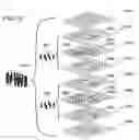 Fig. 16 - Dielectric filter, array antenna device