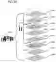 Fig. 34 - Dielectric filter, array antenna device