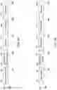 Fig. 07 - Collision mitigation for directional response in millimeter wave wireless local area network system