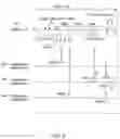 Fig. 10 - Collision mitigation for directional response in millimeter wave wireless local area network system