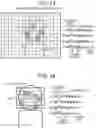 Fig. 11 - Biological information detection device and biological information detection method