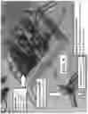 Fig. 10 - Trailer lighting activation device