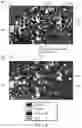 Fig. 07 - Automating microfacies analysis of petrographic images