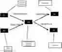 Fig. 01 - Method for verifying information