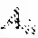 Fig. 06 - Method for verifying information