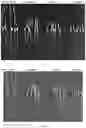 Fig. 06 - Preparation method and application of polyketides bearing the trans-fused decalin skeleton