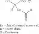 Fig. 05 - NEW COMPOSITION OF LIPOAMINO ACIDS AND DIOLS, PROCESS FOR THE PREPARATION THEREOF, AND COSMETIC OR PHARMACEUTICAL COMPOSITION RESULTING THEREFROM