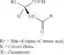 Fig. 06 - NEW COMPOSITION OF LIPOAMINO ACIDS AND DIOLS, PROCESS FOR THE PREPARATION THEREOF, AND COSMETIC OR PHARMACEUTICAL COMPOSITION RESULTING THEREFROM