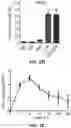 Fig. 04 - THERAPEUTIC EXTRACELLULAR VESICLES