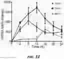 Fig. 07 - THERAPEUTIC EXTRACELLULAR VESICLES