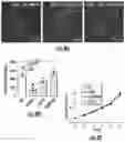 Fig. 37 - THERAPEUTIC EXTRACELLULAR VESICLES