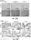 Fig. 65 - THERAPEUTIC EXTRACELLULAR VESICLES
