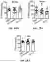 Fig. 67 - THERAPEUTIC EXTRACELLULAR VESICLES