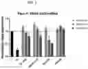Fig. 02 - LOADING OF EXTRACELLULAR VESICLES THROUGH IMPARTING OF MECHANICAL SHEAR