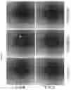 Fig. 06 - Pharmaceutical composition comprising THA as effective ingredient for treatment of prostate cancer