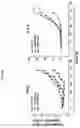 Fig. 07 - Pharmaceutical composition comprising THA as effective ingredient for treatment of prostate cancer