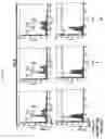 Fig. 10 - Pharmaceutical composition comprising THA as effective ingredient for treatment of prostate cancer
