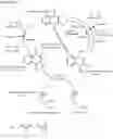Fig. 02 - Methods and compositions for preventing or treating tissue calcification