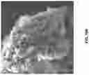 Fig. 110 - Eutectic formulations of cyclobenzaprine hydrochloride and amitriptyline hydrochloride