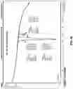 Fig. 60 - Eutectic formulations of cyclobenzaprine hydrochloride and amitriptyline hydrochloride