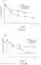 Fig. 04 - METHOD OF REDUCING NEURONAL CELL DEATH WITH HALOALKYLAMINES