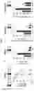Fig. 04 - METHODS FOR MITIGATING AND PREVENTING PROTEOSTASIS-BASED INJURIES