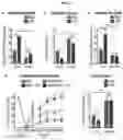 Fig. 05 - METHODS FOR MITIGATING AND PREVENTING PROTEOSTASIS-BASED INJURIES