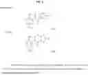 Fig. 11 - METHODS FOR MITIGATING AND PREVENTING PROTEOSTASIS-BASED INJURIES