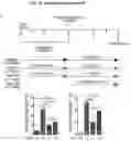Fig. 25 - METHODS FOR MITIGATING AND PREVENTING PROTEOSTASIS-BASED INJURIES
