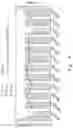 Fig. 05 - NON-PHARMACEUTICAL BACTERICIDAL COMPOSITION AGAINST HELICOBACTER PYLORI