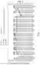 Fig. 04 - Non-pharmaceutical bactericidal composition against 