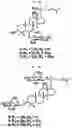 Fig. 03 - Composition for preventing or improving menopausal symptom comprising novel ginsenoside