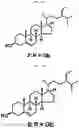 Fig. 04 - Composition for preventing or improving menopausal symptom comprising novel ginsenoside