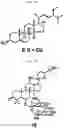 Fig. 05 - Composition for preventing or improving menopausal symptom comprising novel ginsenoside