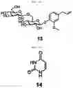 Fig. 07 - Composition for preventing or improving menopausal symptom comprising novel ginsenoside