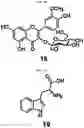 Fig. 08 - Composition for preventing or improving menopausal symptom comprising novel ginsenoside
