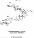 Fig. 13 - Composition for preventing or improving menopausal symptom comprising novel ginsenoside