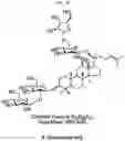 Fig. 14 - Composition for preventing or improving menopausal symptom comprising novel ginsenoside