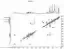Fig. 17 - Composition for preventing or improving menopausal symptom comprising novel ginsenoside