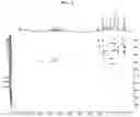 Fig. 19 - Composition for preventing or improving menopausal symptom comprising novel ginsenoside