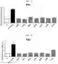Fig. 22 - Composition for preventing or improving menopausal symptom comprising novel ginsenoside
