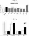 Fig. 23 - Composition for preventing or improving menopausal symptom comprising novel ginsenoside